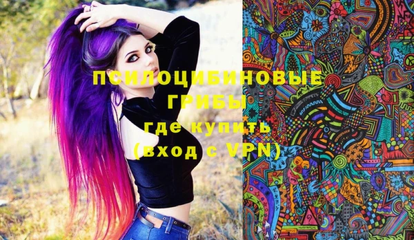 Альфа ПВП Алзамай
