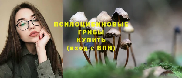 Альфа ПВП Алзамай