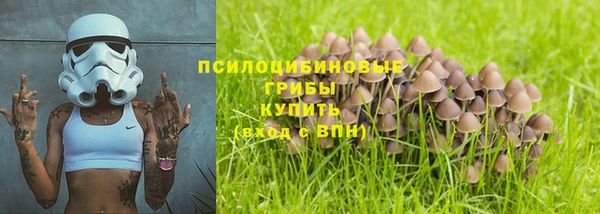 Альфа ПВП Алзамай